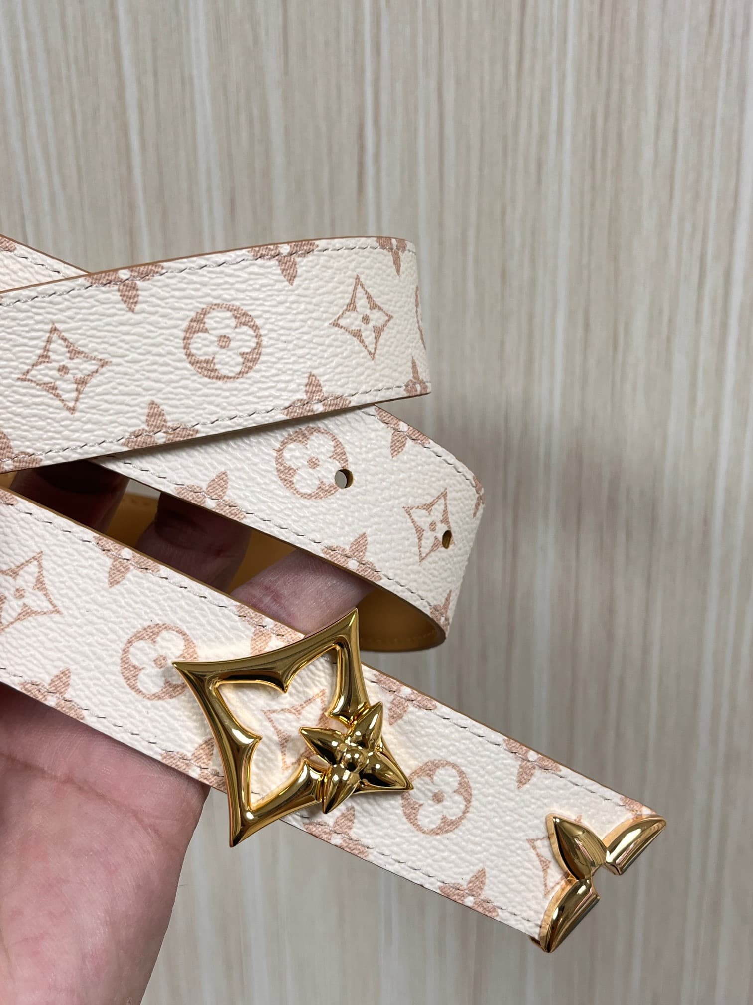 2026 LV 3.0cm Belt