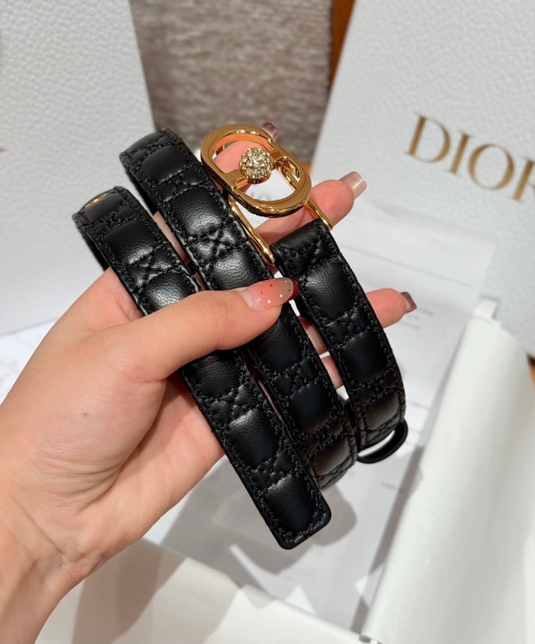 2026 Dior 2.0cm Belt