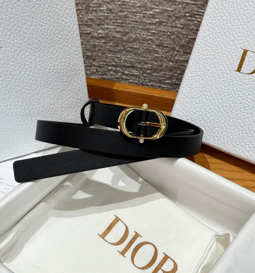 2026 Dior 2.0cm Belt