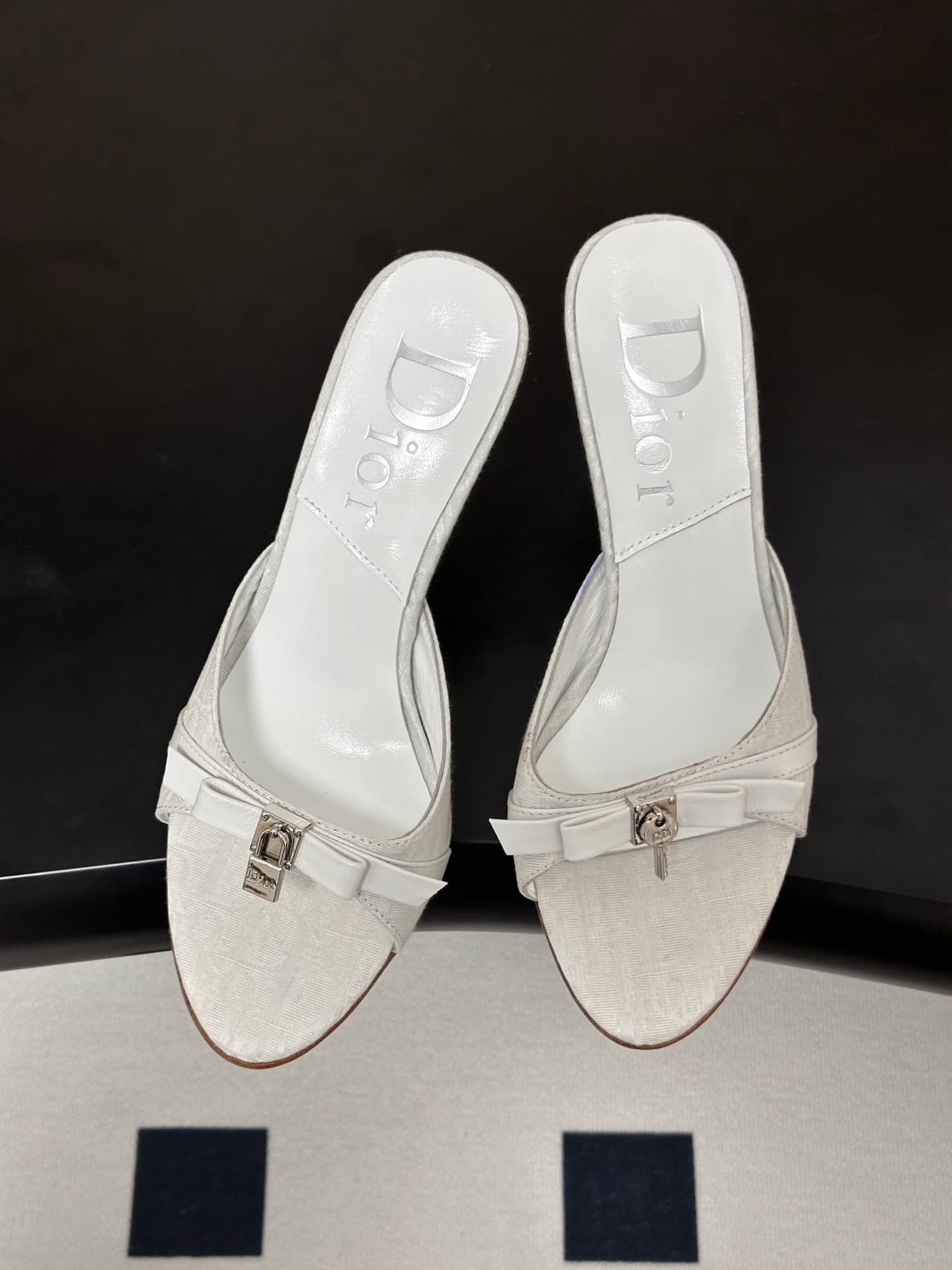 2026 Dior High Heels