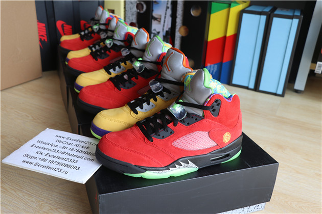 Nike Air Jordan 5 What The
