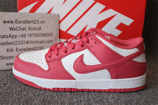 Nike SB Dunk Low