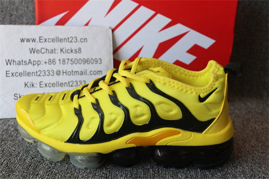 Nike Air Vapormax Plus TN 038