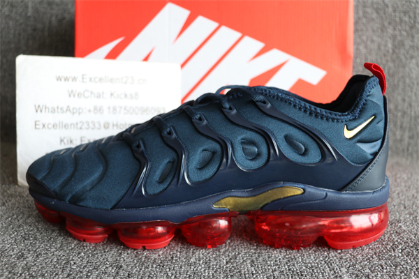 Nike Air Vapormax Plus TN 074
