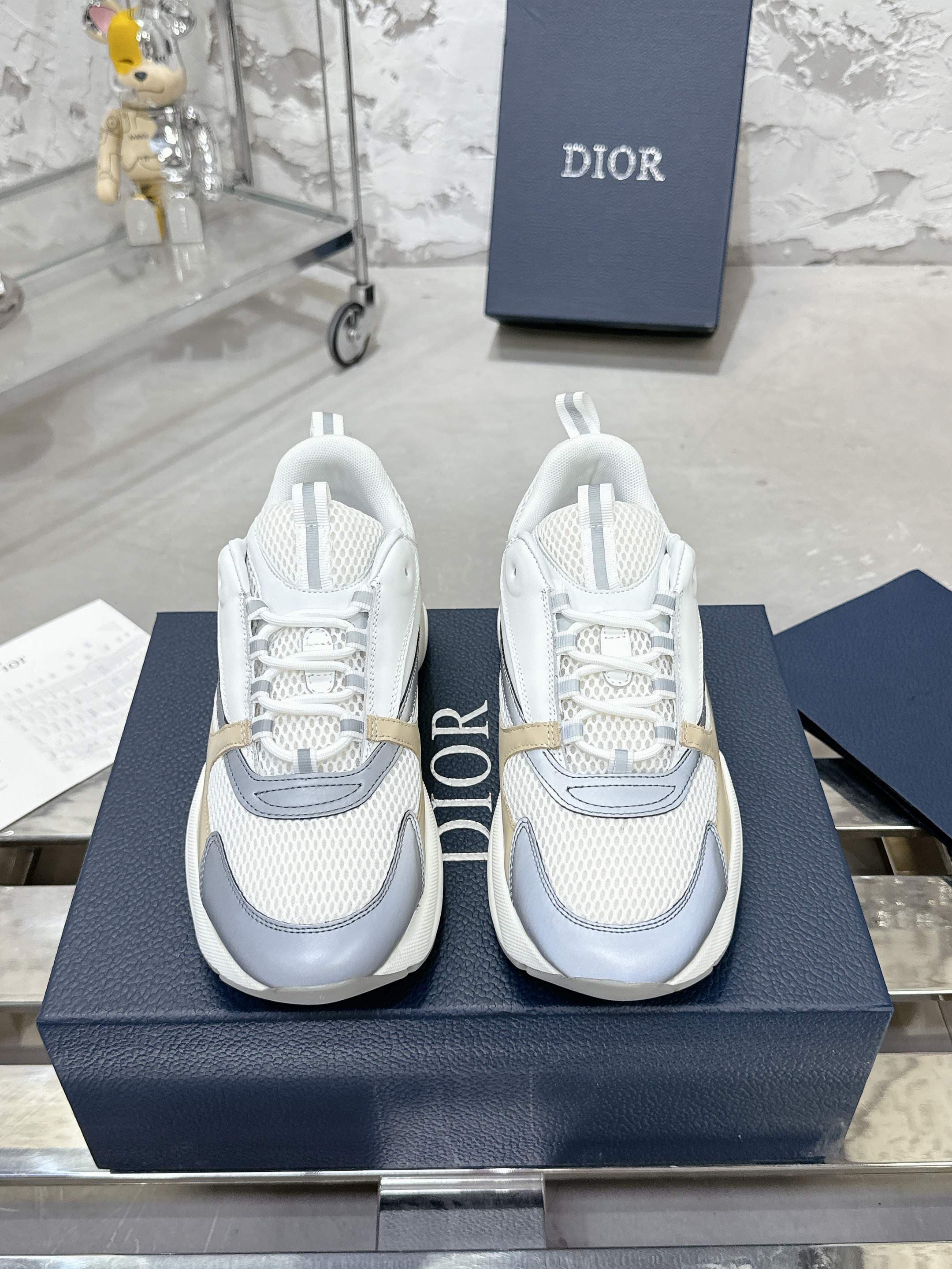 Dior B22 Sport shoes