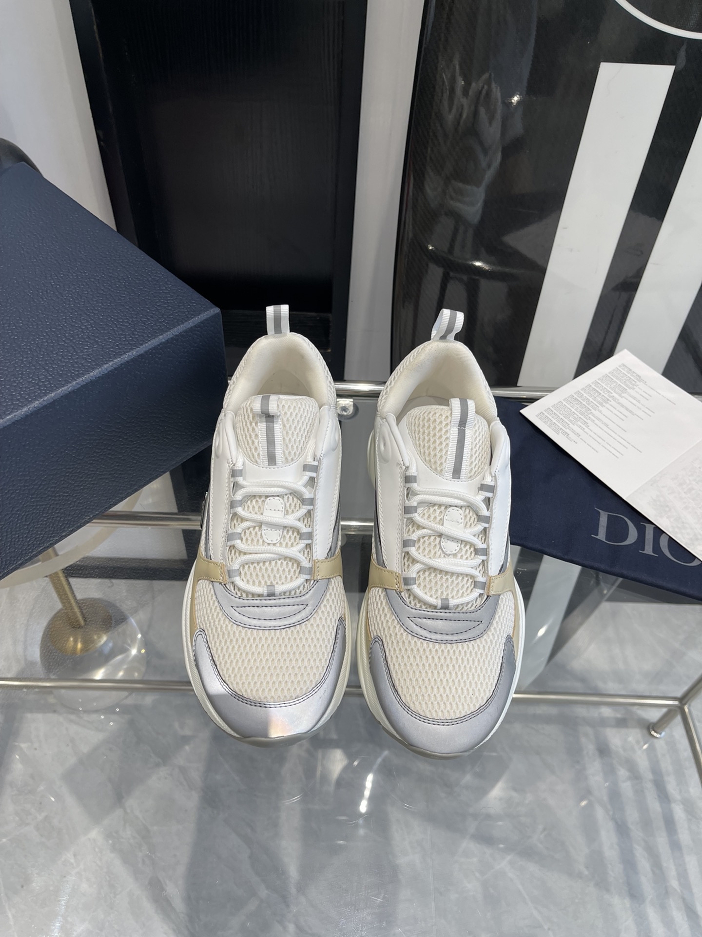 Dior B22 Sport shoes