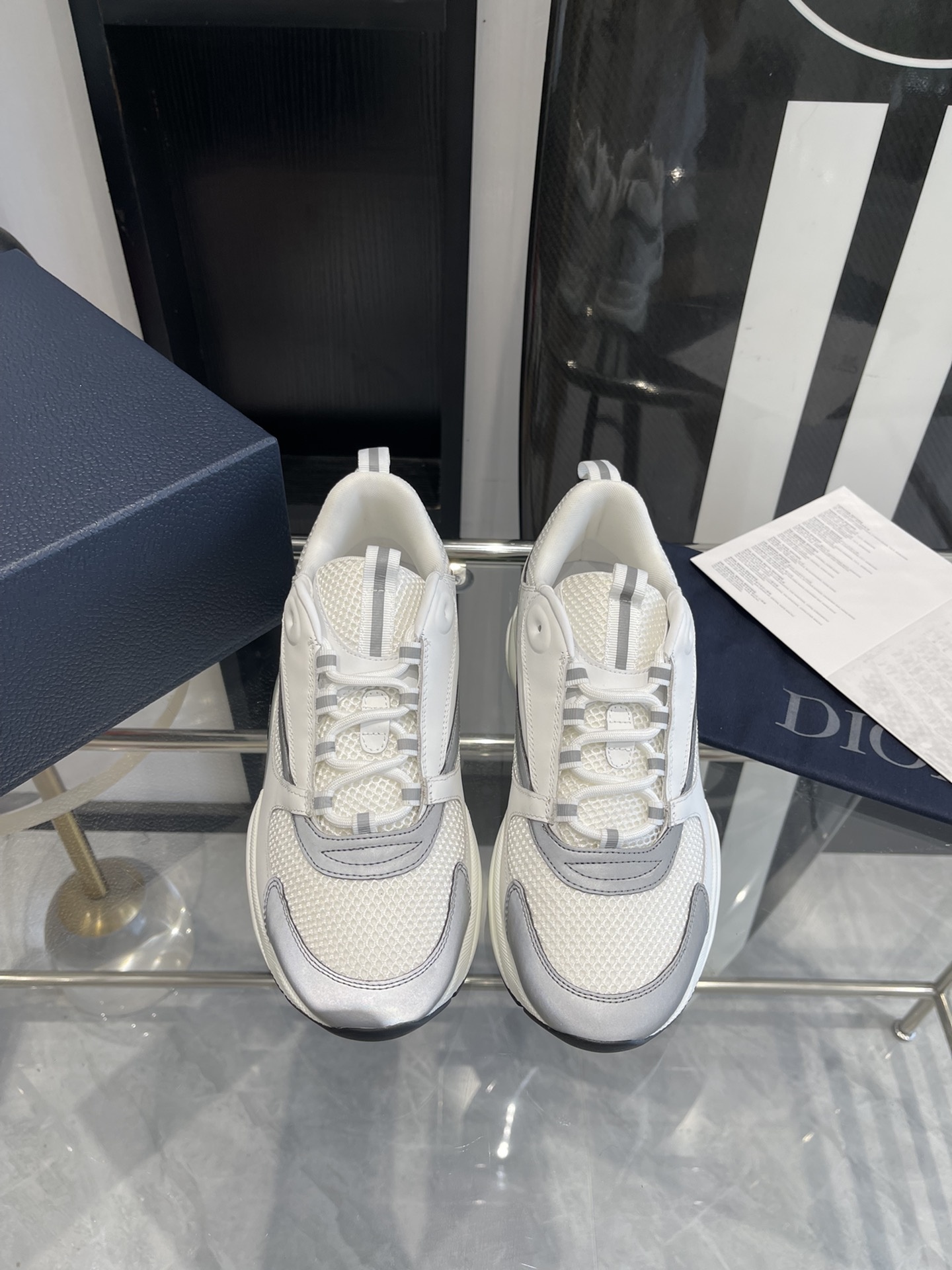 Dior B22 Sport shoes