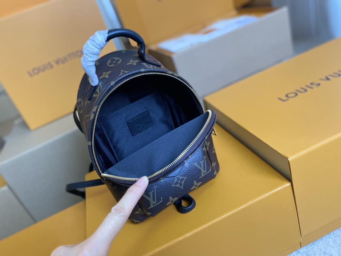 LV Backpack M44871 (DM For Price）