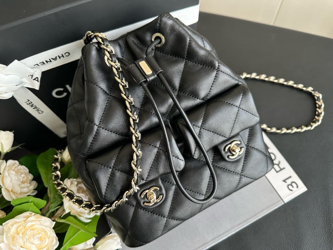 Chanel Backpack 23B(DM For Price）