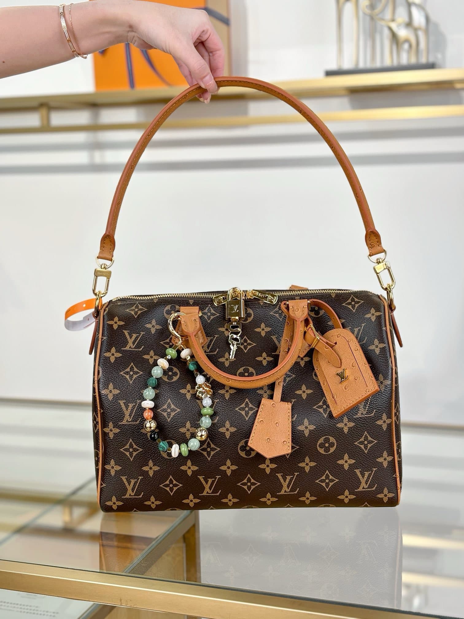 LV Carryall HandBag