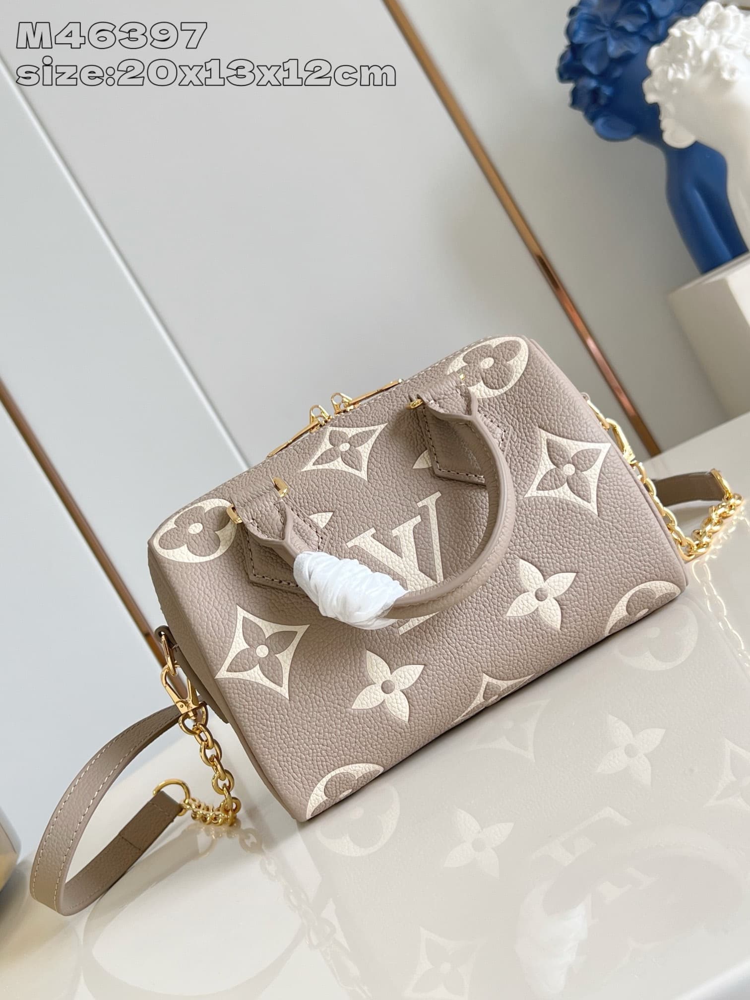 LV Bag Speedy 20 M46397