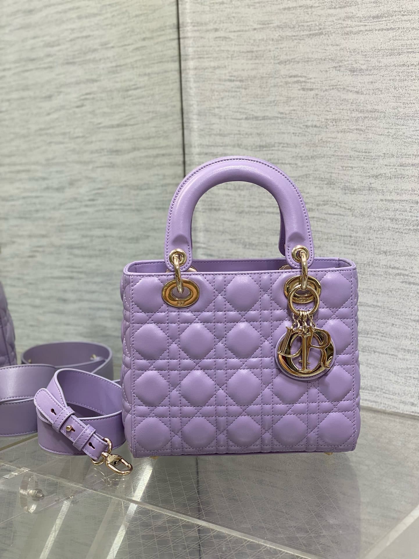 Dior Lady HandBag