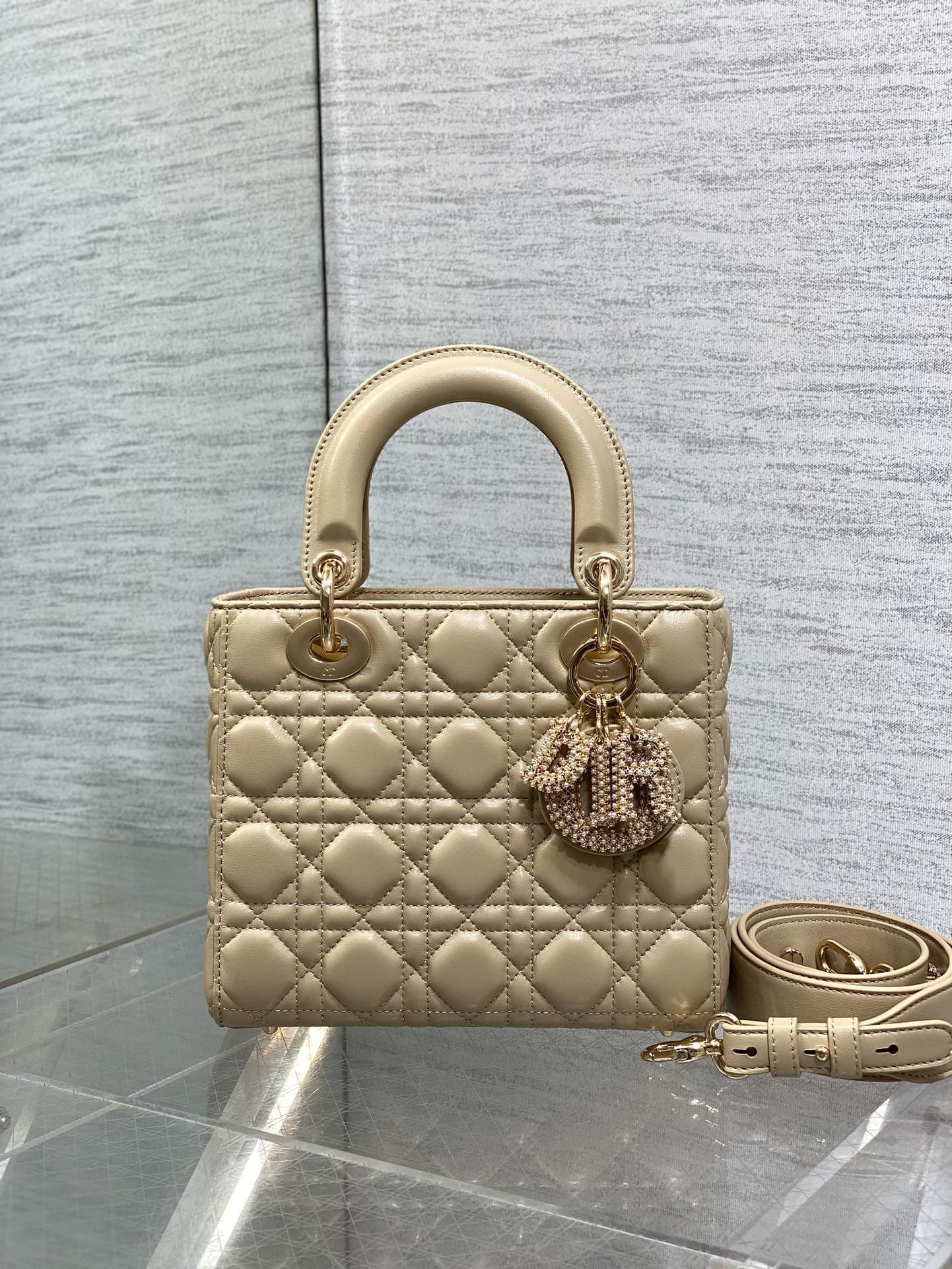 Dior Lady HandBag