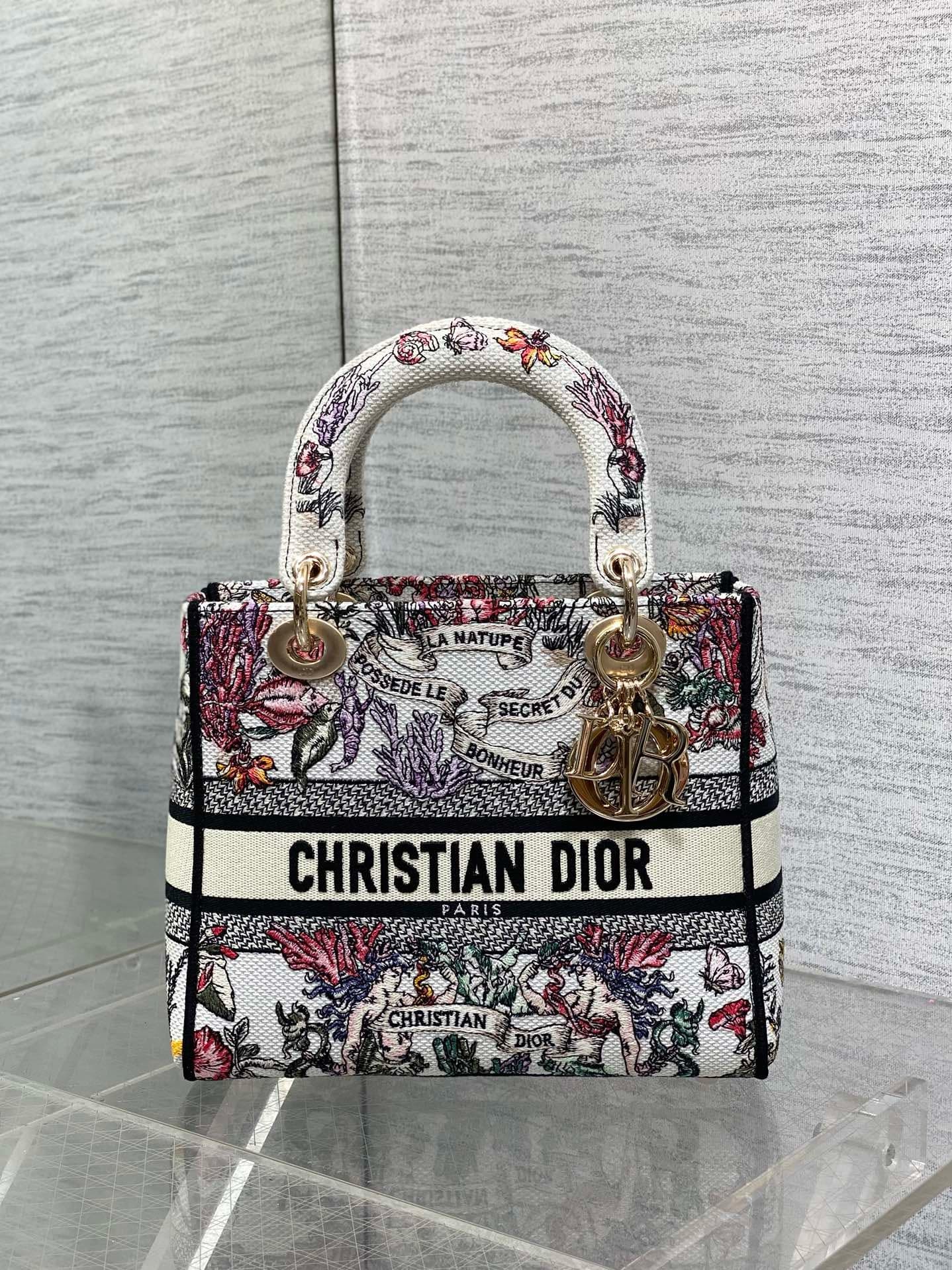 Dior Lady HandBag