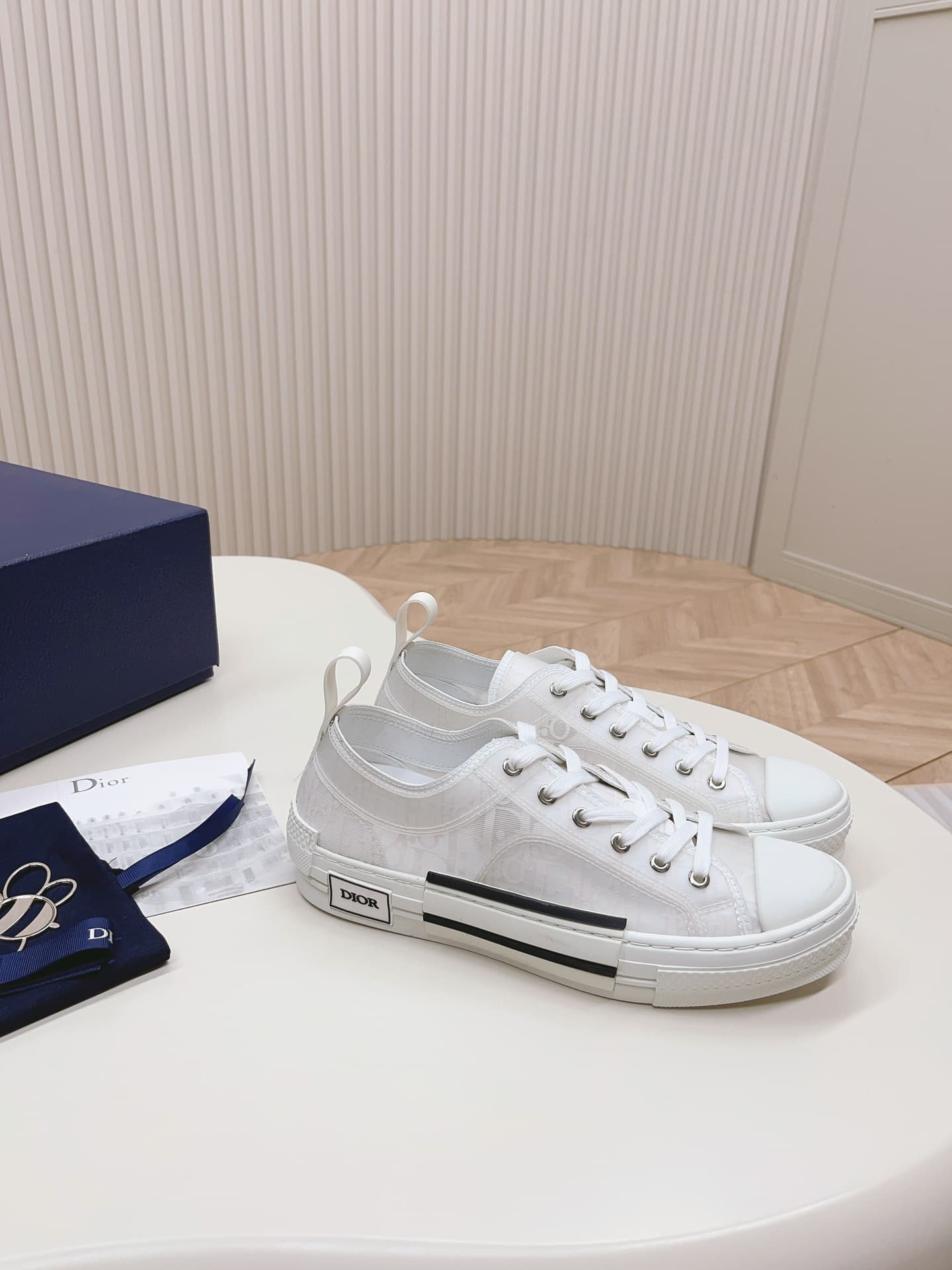 Dior Low B23 shoes