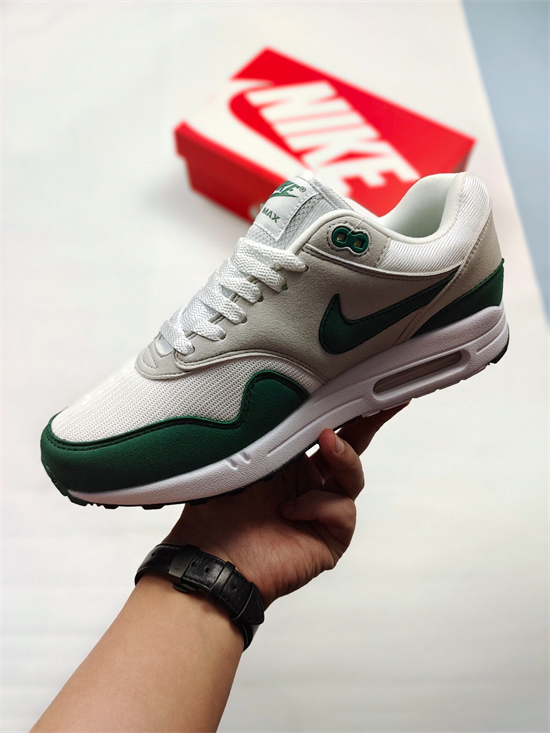 Nike Air Max 1 009