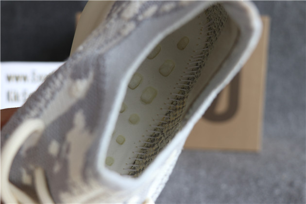 2019 Adidas Yeezy Boost 350 V3 Aline