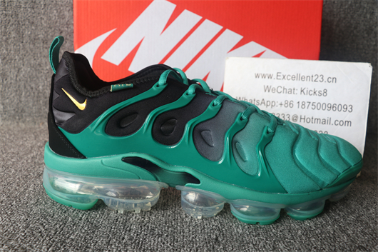 Nike Air Vapormax Plus TN 073