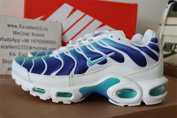 Nike Air Vapormax Plus TN 1.0