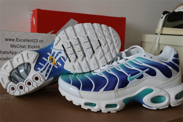 Nike Air Vapormax Plus TN 1.0