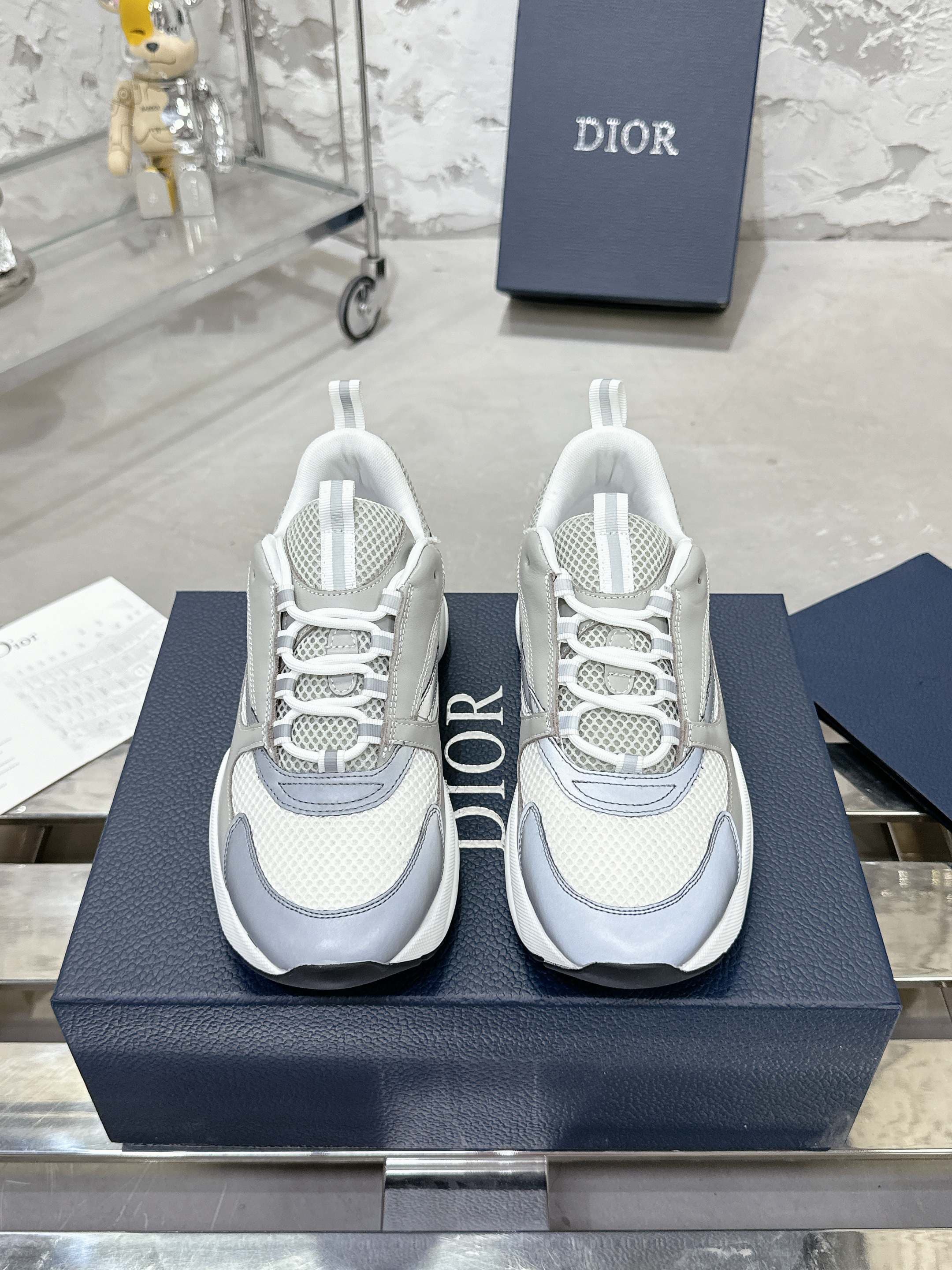 Dior B22 Sport shoes
