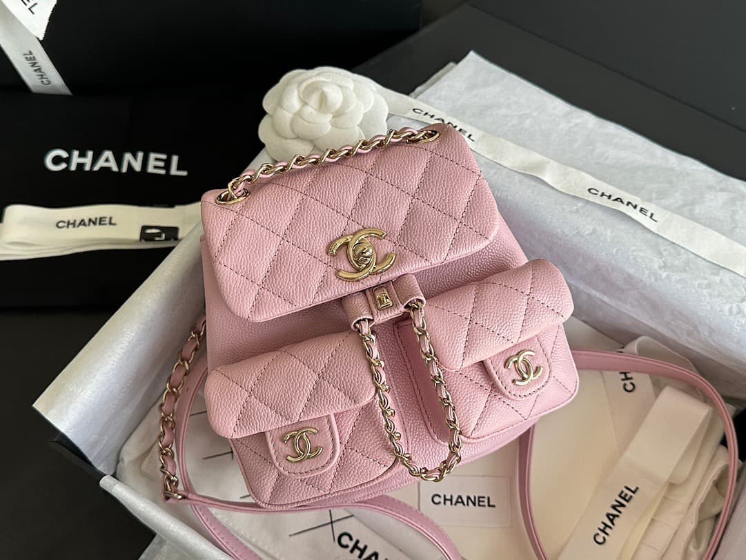 Chanel Backpack 24A Duma Mini(DM For Price）