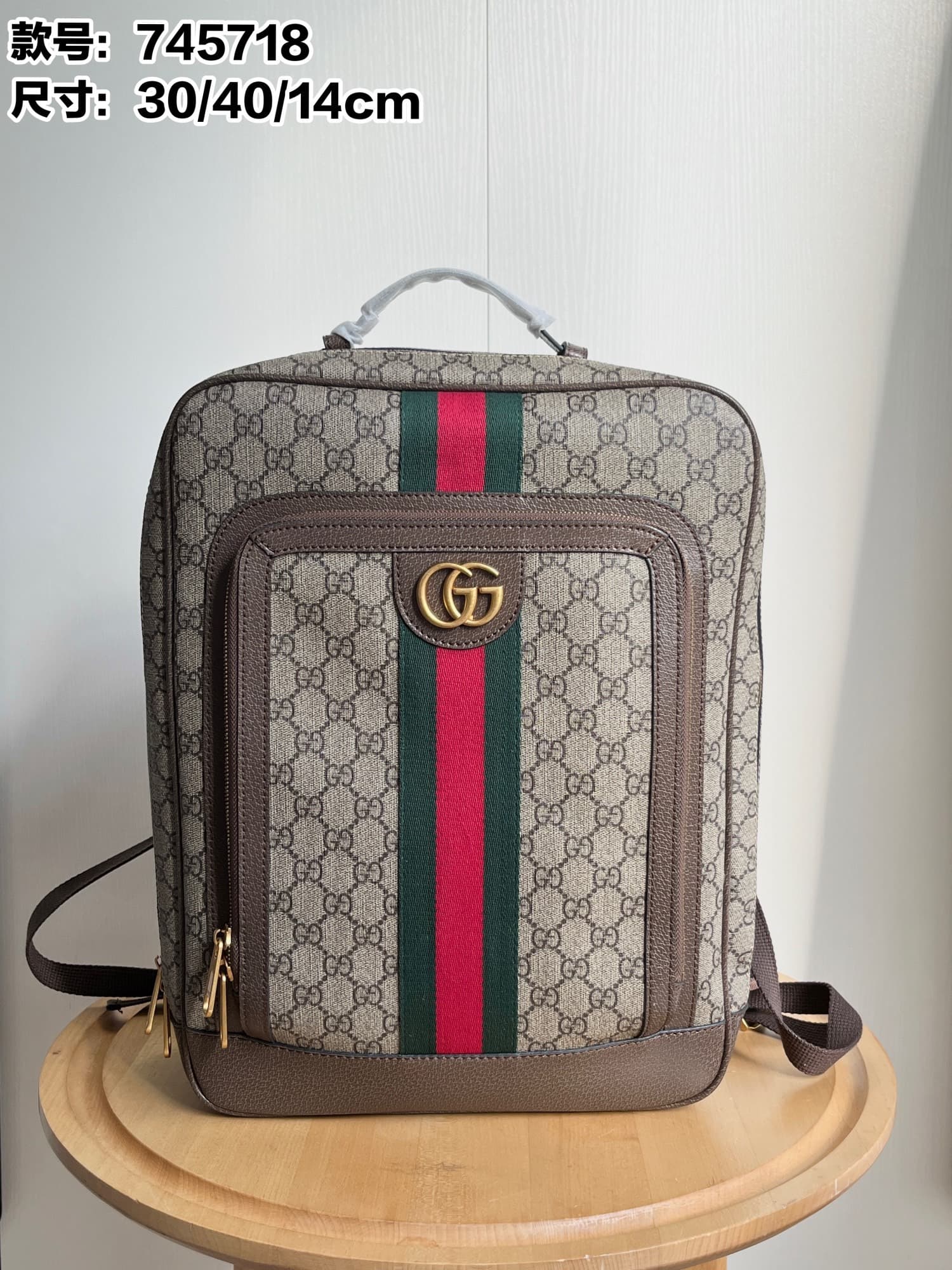 Gucci Backpack