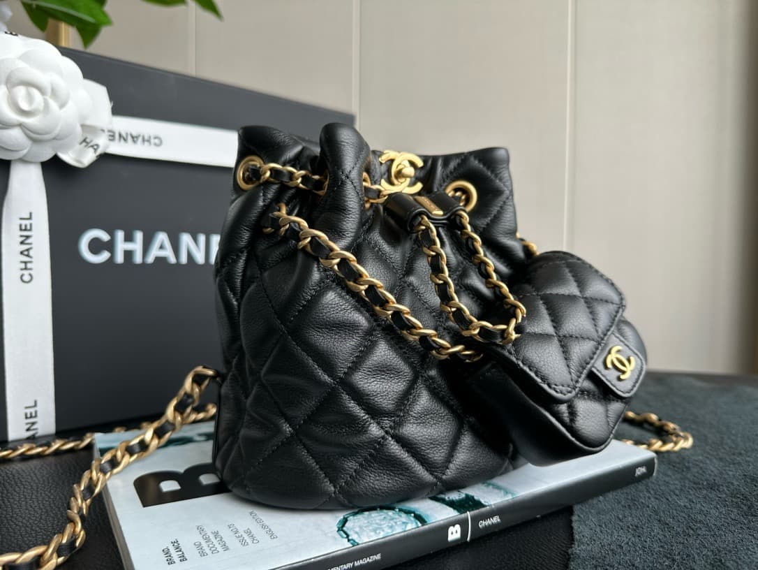 Chanel Backpack 23A(DM For Price）