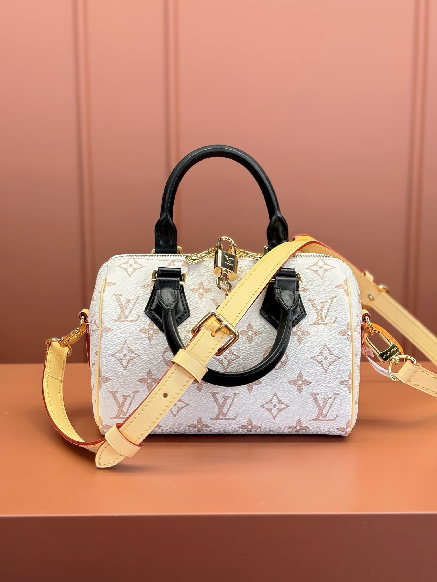 LV Carryall HandBag