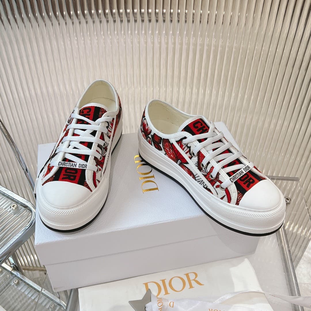 Dior Walkn Shoes