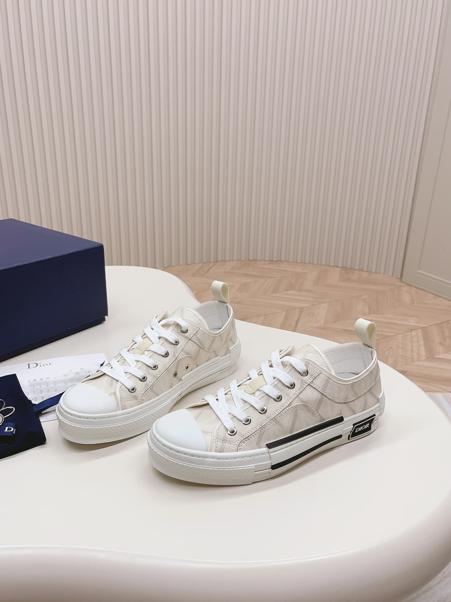 Dior Low B23 shoes