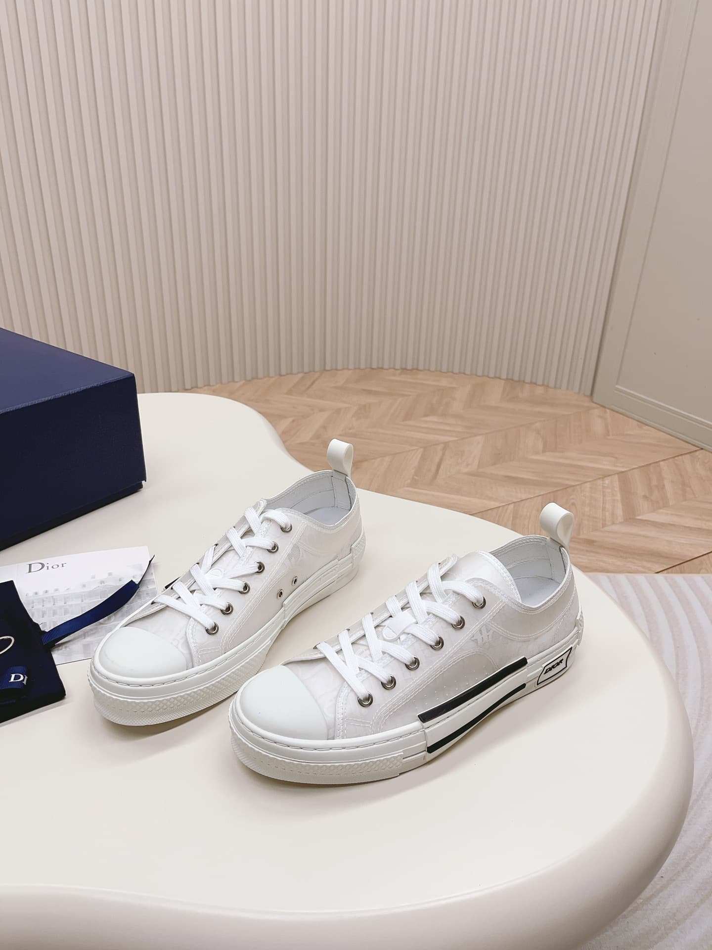 Dior Low B23 shoes