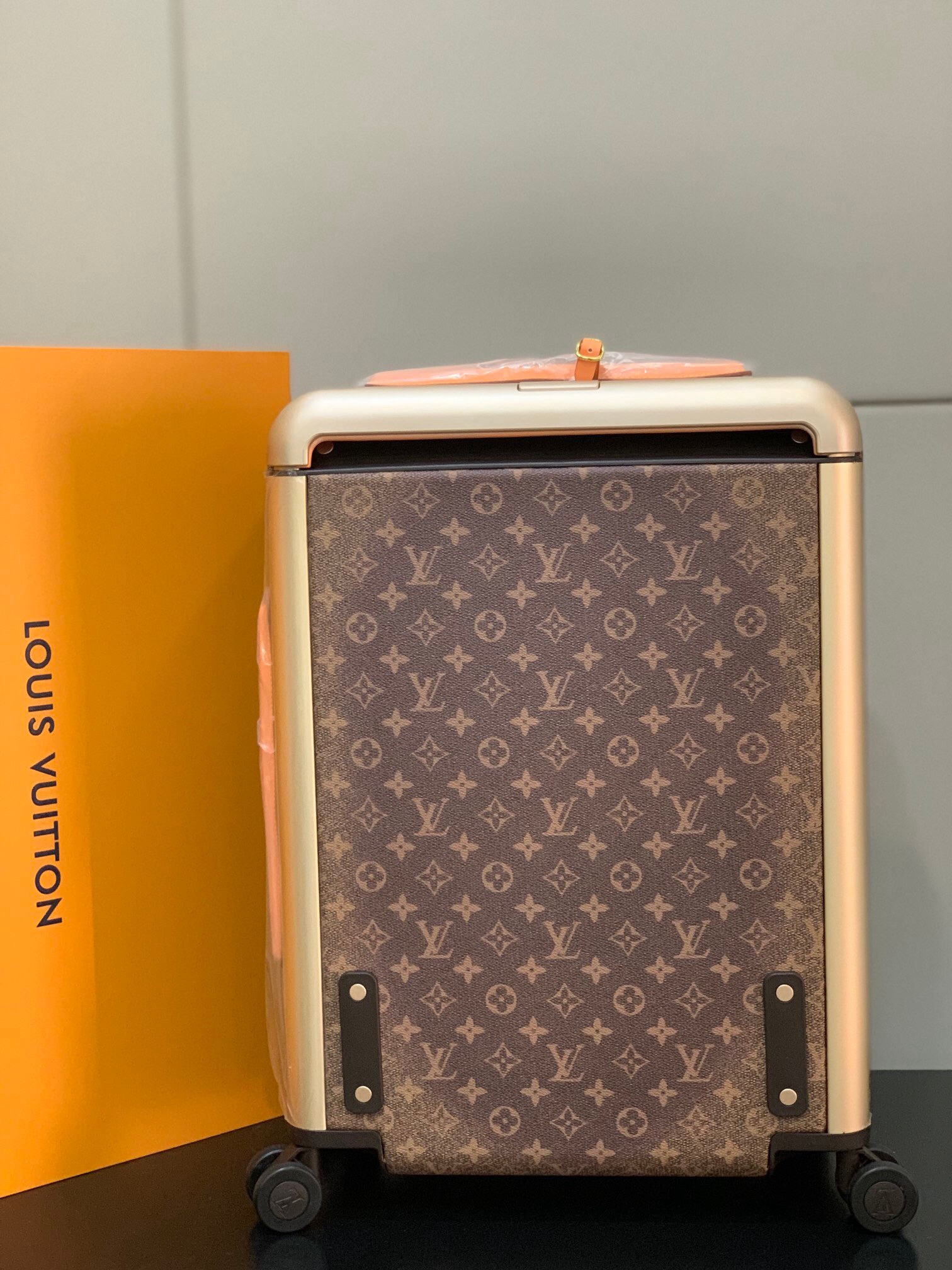 LV Suitcase Two Size（20/24 inches）