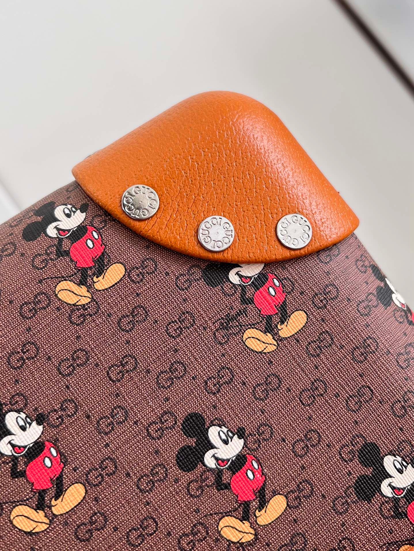 Gucci Suitcase Two Size（20/24 inches）