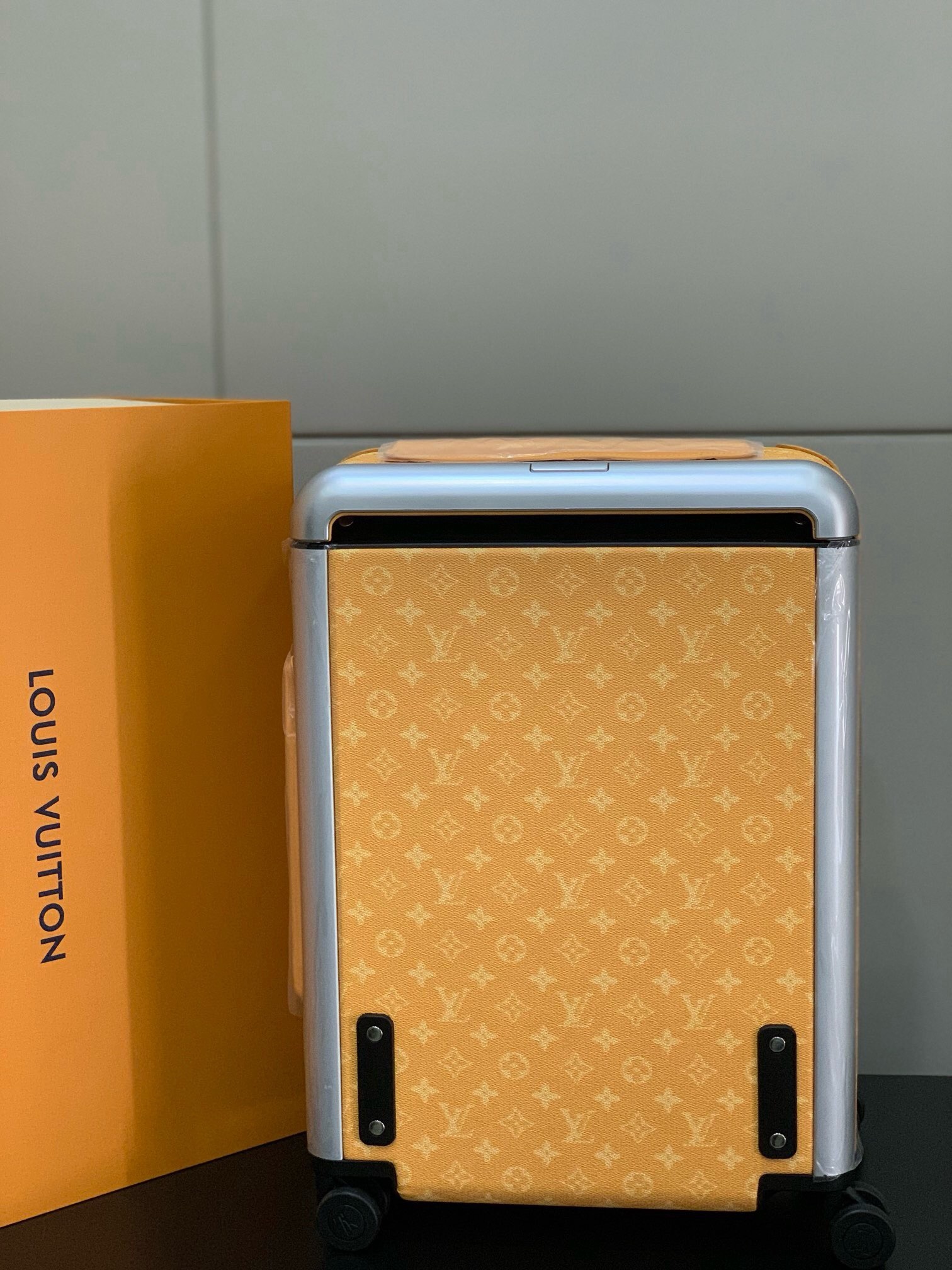 LV Suitcase Two Size（20/24 inches）